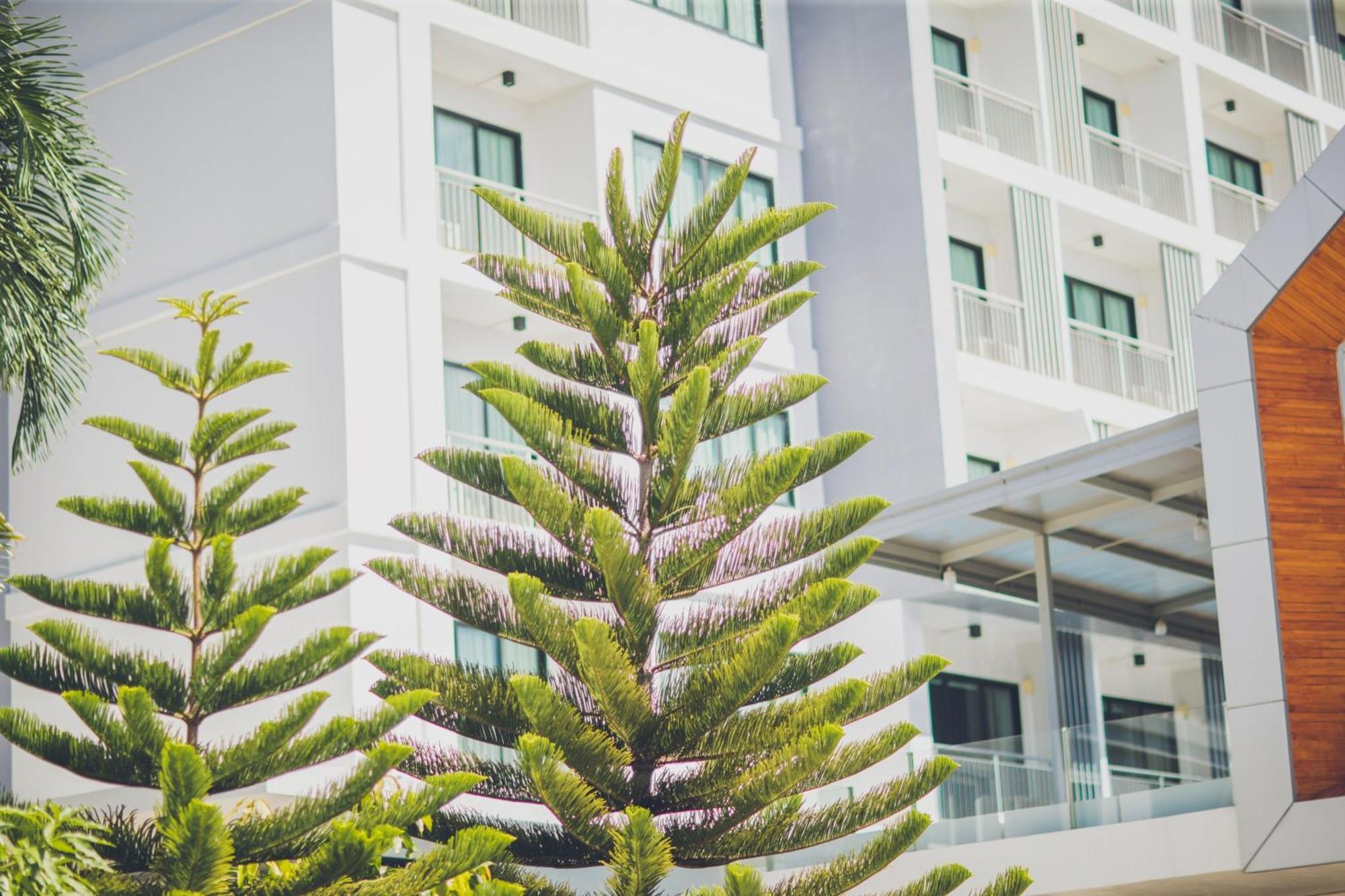 Phavina Hotel Rayong Sha Extra Plus Luaran gambar